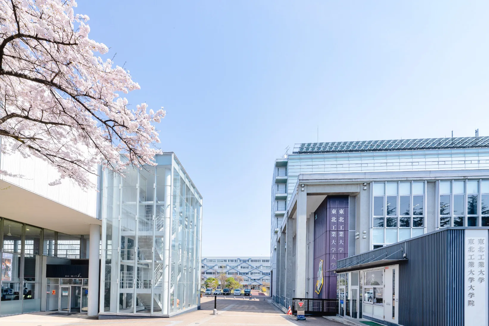 東北工業大学の評判と就職実績を徹底検証｜偏差値を超える就職力の真相