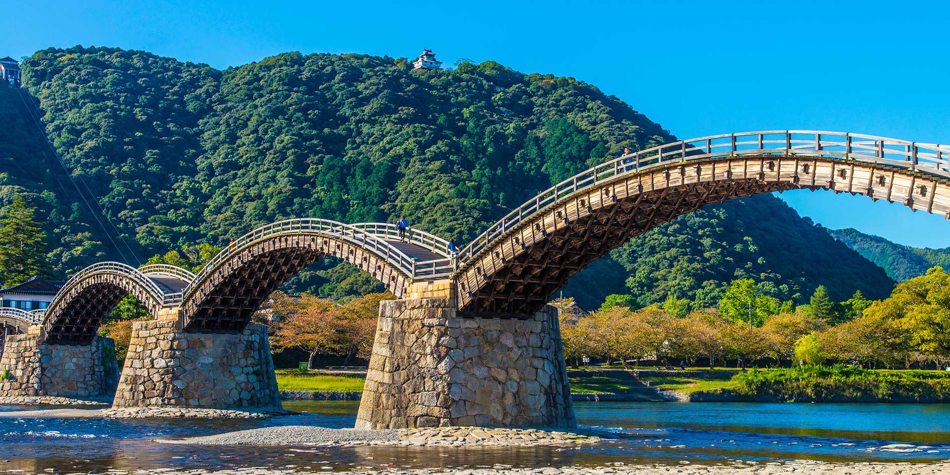日本長者番付2026最新！柳井・孫を超える大富豪の真相と資産内訳
