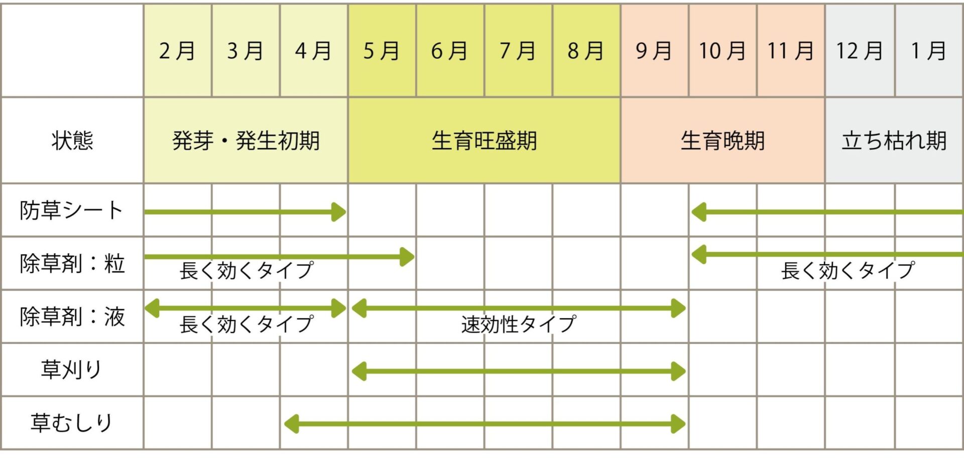 除草剤のまく時期で効果ゼロ？液体と顆粒の違いと2026年最新散布基準
