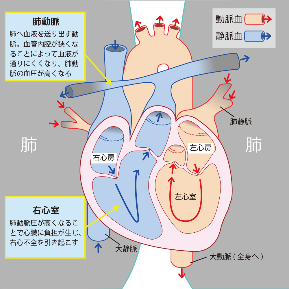 病の根源を裁つ奇跡の分子の正体：巨大製薬の裏側と創薬最前線