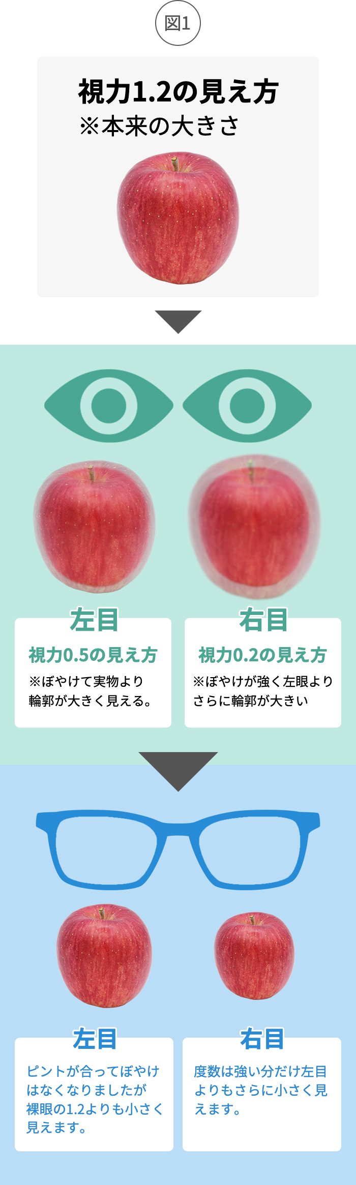 眼鏡の左右差で目が疲れる？原因と限界度数・失敗しない対策を徹底解説