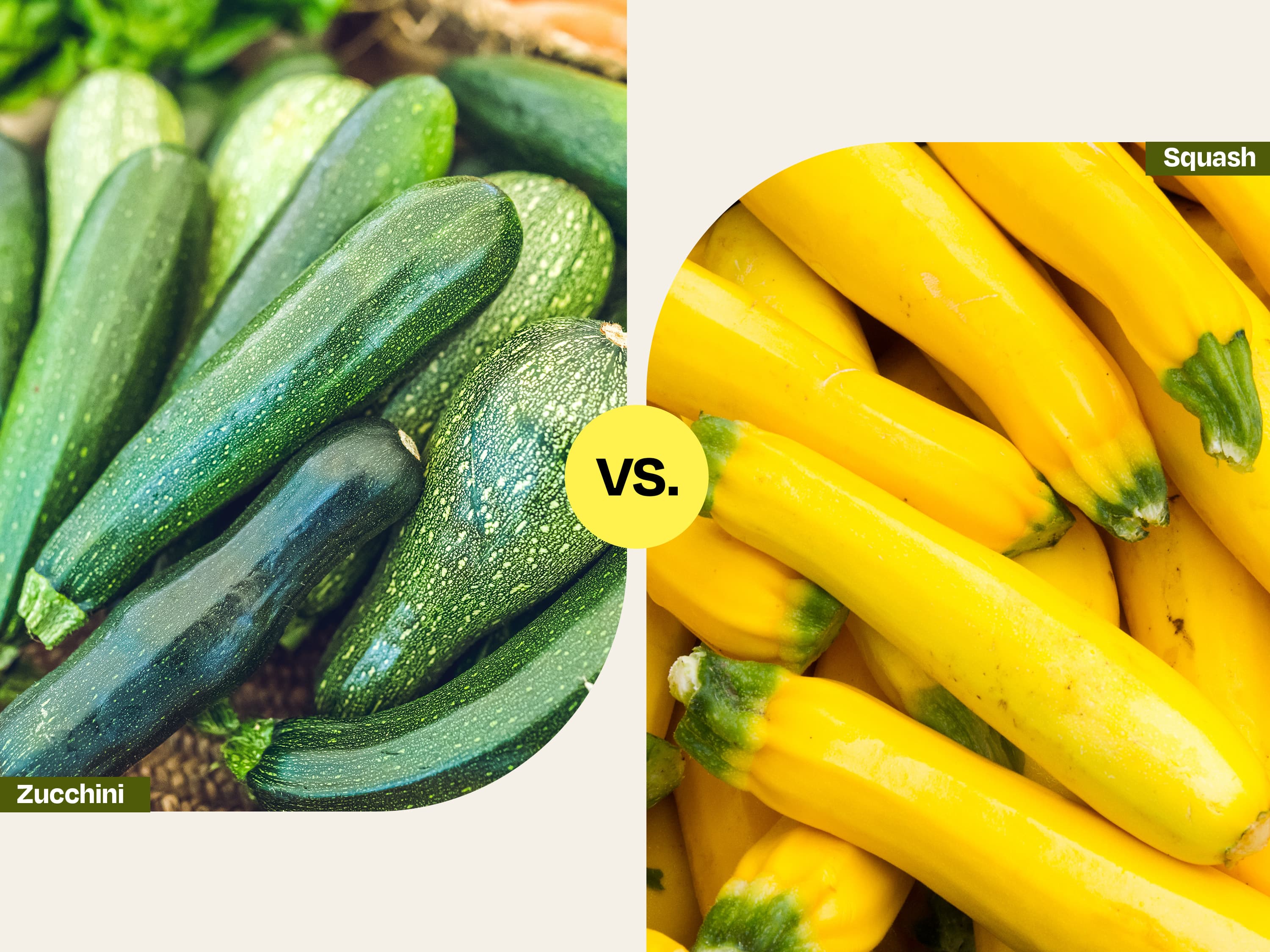 Is Yellow Squash the Same as Zucchini