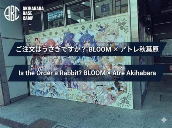 Https: //Www. Adelakun. Org/Akihabara-1/5983947/