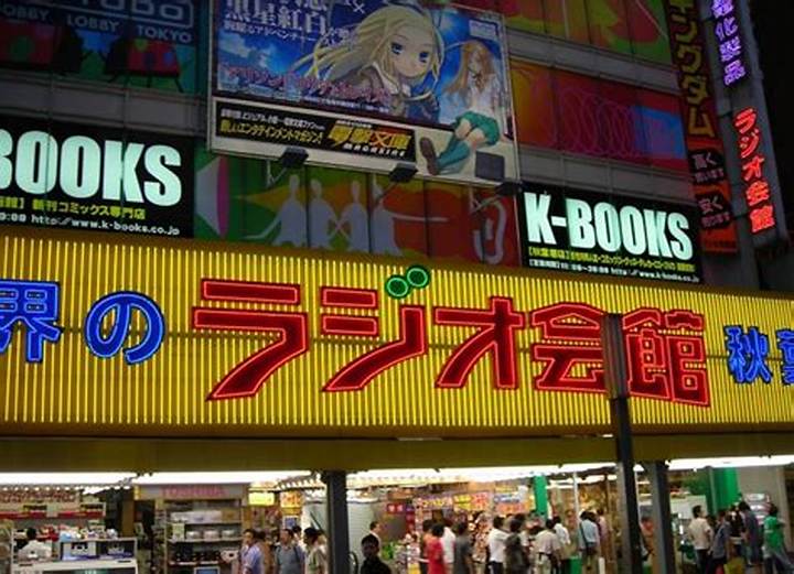 Https: //Www. Adelakun. Org/Akihabara/6561567/
